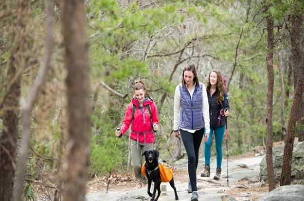 family of 3 hiking in a forest trail